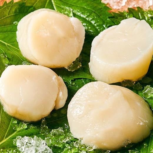 丁小宴海鲜盛宴458型 2450g【实物/卡券】 商品图3