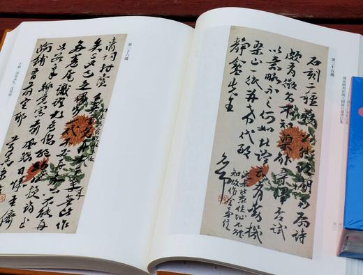 《国家图书馆藏王国维往还书信集》，布面精装，16开，全6册，国家图书馆古籍馆编，中华书局2017年一版一印，2668页，定价1680，售价：580 商品图11
