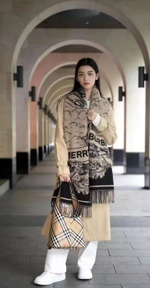 代工厂羊绒羊毛真丝围巾B家双面流苏围巾披肩 商品图7