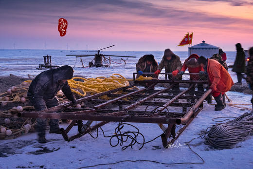 东北·冰雪奇缘8天——俄罗斯庄园、丹顶鹤、查干湖冬捕、东北虎园、雾淞岛、松岭雪村、朝阳天鹅摄影团 商品图6