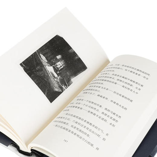 奉献·白日梦 (美) 帕蒂·史密斯 著 商品图5