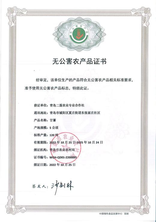 无公害认证 | 崂山蜜薯黄蜜系列 汀甜金蜜/山地蜜薯烤薯/无添加蜜薯干红薯干 无熏硫红薯粉丝 新鲜番薯零食食材(三种规格可选) 商品图3