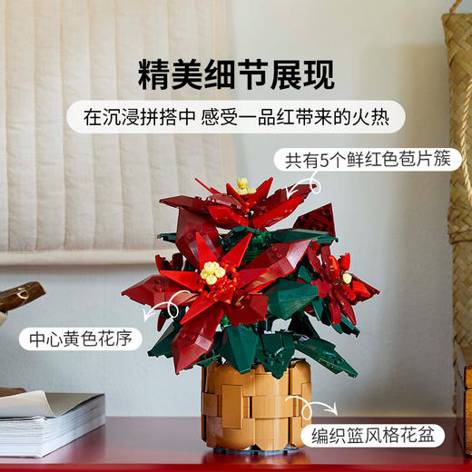 乐高 一品红LEGC10370 商品图4