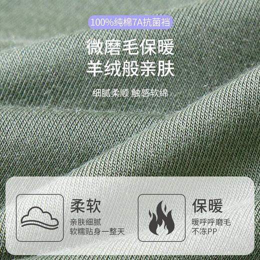 高腰收腹 暖肚肚 性价比拉满樱姿娜秋冬新款 高腰暖腹  磨毛感内裤- 三条礼盒装 WL8123 商品图5