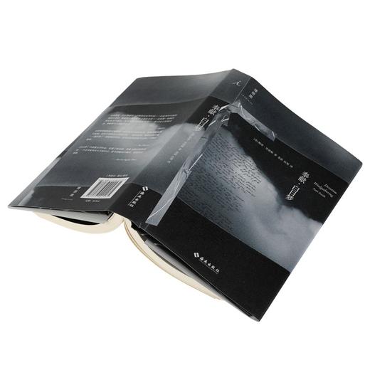 奉献·白日梦 (美) 帕蒂·史密斯 著 商品图3