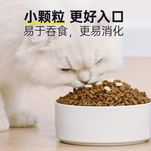 【新人专享】1瓶雷米高猫咪专用多维奶贝维生素片45g 商品图5