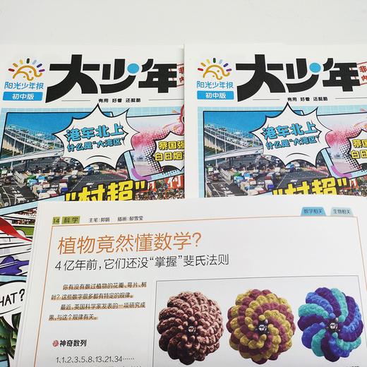 【杂志合辑】26年阳光少年报（赠品：少年知天下音频） 商品图5