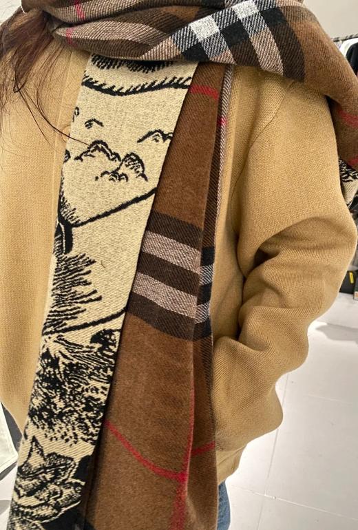 代工厂羊绒羊毛真丝围巾B家双面流苏围巾披肩 商品图13