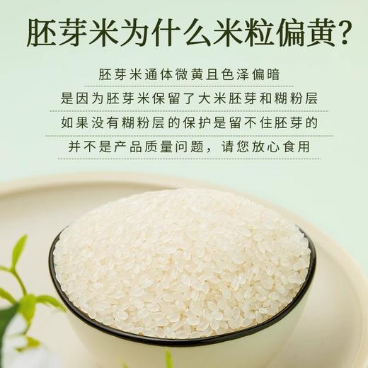 【草原三河内蒙古草原胚芽米】颗粒饱满 保留胚芽一年一季,多一分营养与美味 商品图4