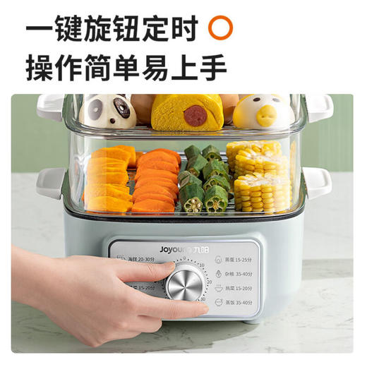 九阳2.3L火锅+3.5L*2电蒸锅二合一ZD20-GE620 商品图3