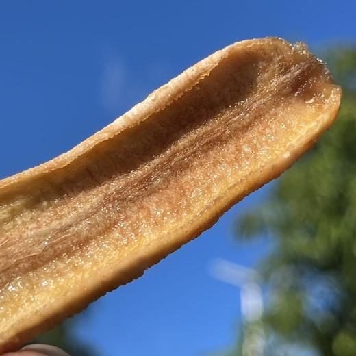 多种果干（芒果干，芭蕉干，杨桃干，凤梨干，柠檬干） 商品图2