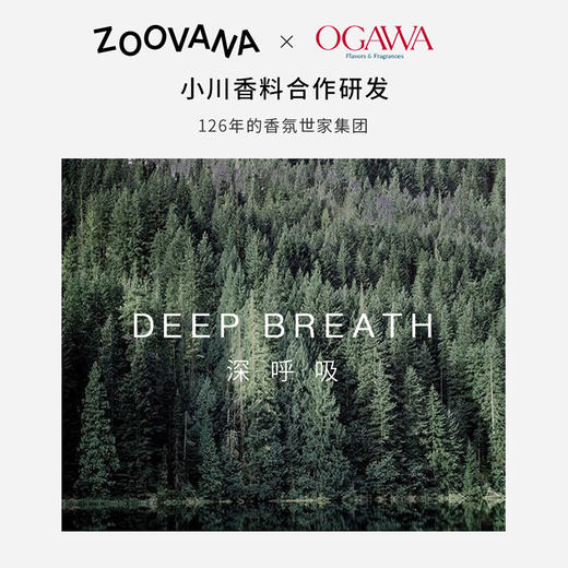 ZOOVANA祖瓦纳冷灰乌木香氛沐浴露 木质香持久留香滋润沉香檀香 商品图4