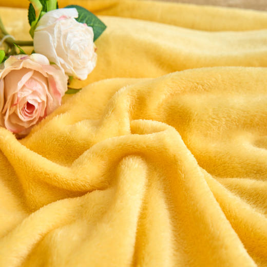 纯色简约牛奶绒加厚床上四件套家用床品冬季加绒保暖床单被套罩子 商品图3