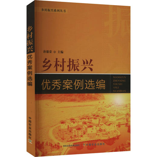 乡村振兴优秀案例选编 商品图0