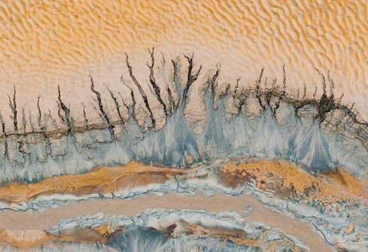 航拍中国：钱塘江+湖州梅花、古镇7天：安昌古镇+潮汐树+追潮+铁佛寺梅花+双林三桥日出、日落... 商品图0