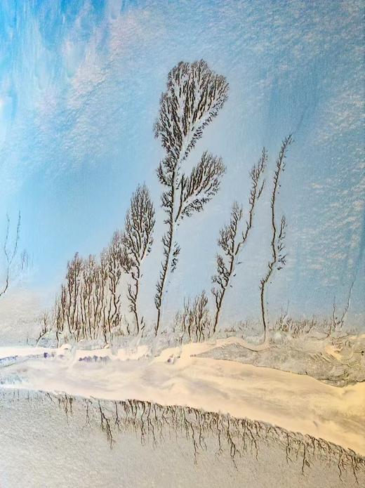 航拍中国：钱塘江+湖州梅花、古镇7天：安昌古镇+潮汐树+追潮+铁佛寺梅花+双林三桥日出、日落... 商品图2