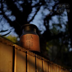 2010年陈年老树肉桂/识年典藏/武夷老岩茶罐装/正岩自然陈无复焙