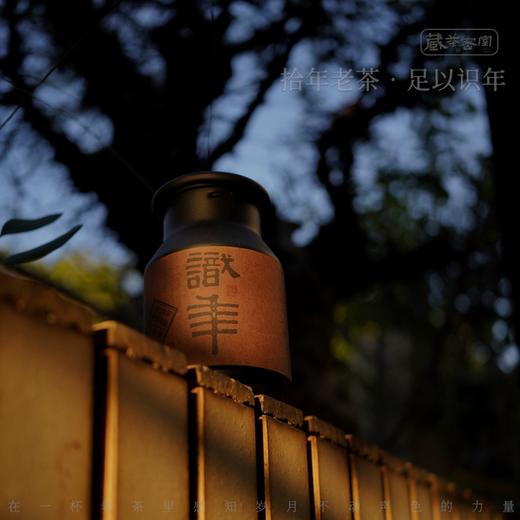 2010年陈年老树肉桂/识年典藏/武夷老岩茶罐装/正岩自然陈无复焙 商品图0