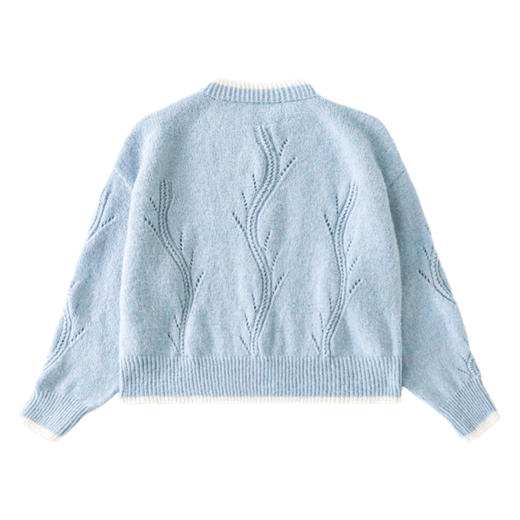 苏苏姐家艾米花朵套头衫手工DIY衣服棒针钩针毛线团材料包 商品图4