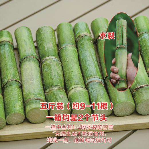 正宗瑞安陶山甘蔗 青皮果蔗 皮薄肉脆 汁水多 净重五斤/箱 现摘先发 顺丰包邮偏远地区不发 商品图9