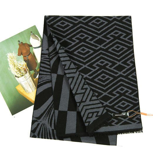 鑫缘 全真丝拉绒围巾 HB4609A 商品图10