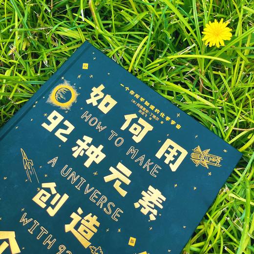 《如何系列》科普书 | 孩子的天赋是“玩”出来的！英国DK国家地理杂志，bbc杂志知名科普作家新作【预售6天发货】 商品图5