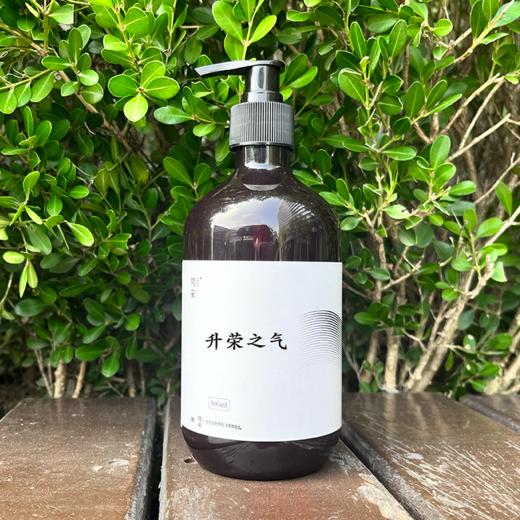 升荣之气洗发液 | 氨基酸+草本提取 商品图0