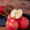 静宁红富士特大果9枚装 商品缩略图3