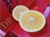 龍橙一箱 商品缩略图4