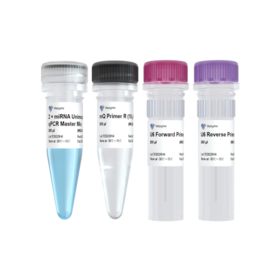 miRNA Unimodal SYBR qPCR Master Mix