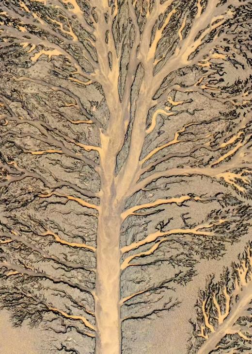 航拍中国：钱塘江+湖州梅花、古镇7天：安昌古镇+潮汐树+追潮+铁佛寺梅花+双林三桥日出、日落... 商品图3