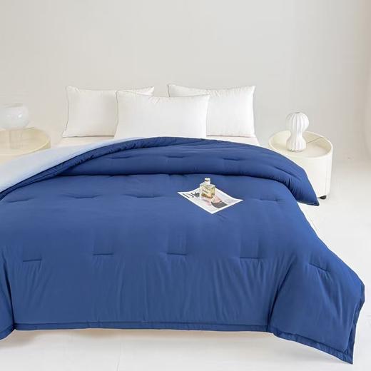 超级爆款🔥亚D星球同款！‎子母三合一控温被❗️官旗💰1000➕同品质！⁠深睡眠天花板❗️双层控温结构，⁥上蓄热➕下排湿，⁨一夜安稳深睡❗️ ✅双层控温结构，‌上层保暖+⁡下层排湿的子母被设计 商品图0