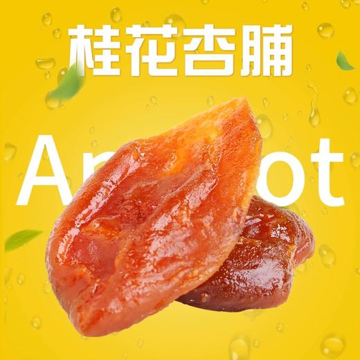 【老兰州三泡台＋桂花杏脯】盖碗八宝茶杏脯甘肃特产 商品图8