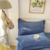 牛奶绒加厚加绒单件床笠纯色简约套件单人防尘床罩席梦思床垫套 商品缩略图4