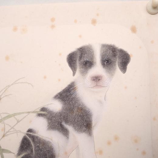 罗玉鑫国画33x33CM《六合之二·戊卯（狗）》一1平尺手绘纸本工笔国画作品[原作编号GH0390] 商品图3