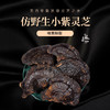 安徽旌德小紫灵芝干货250克/袋【国sir严选】 商品缩略图0