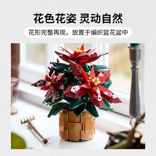 乐高 一品红LEGC10370 商品图5