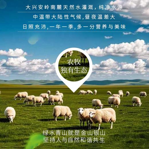 【草原三河内蒙古草原胚芽米】颗粒饱满 保留胚芽一年一季,多一分营养与美味 商品图2