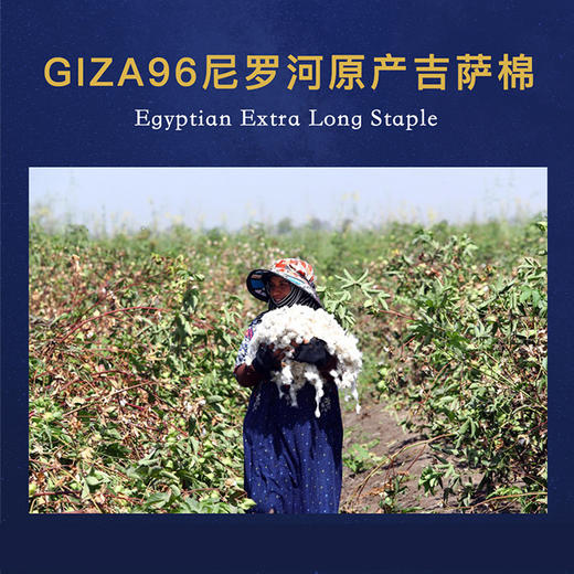 【德国原产OBB】ROYAL BED 200支埃及长绒棉1000TC四件套 商品图5