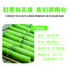 正宗瑞安陶山甘蔗 青皮果蔗 皮薄肉脆 汁水多 净重五斤/箱 现摘先发 顺丰包邮偏远地区不发 商品缩略图8