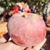 新疆阿克苏冰糖心苹果 | 5斤/8.6斤 皮薄肉脆 酸甜多汁 水果榨汁 新疆直发 商品缩略图2