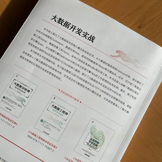 大数据开发实战 商品图2