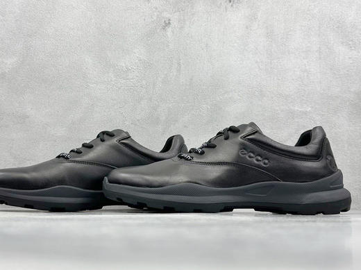 ECCO男士真皮休闲鞋 商品图0