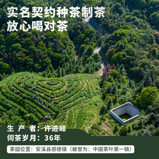 安溪铁观音特级乌龙茶馥郁兰花香醇厚甘爽SGS627项农残检测[京东/顺丰发货] 商品图3