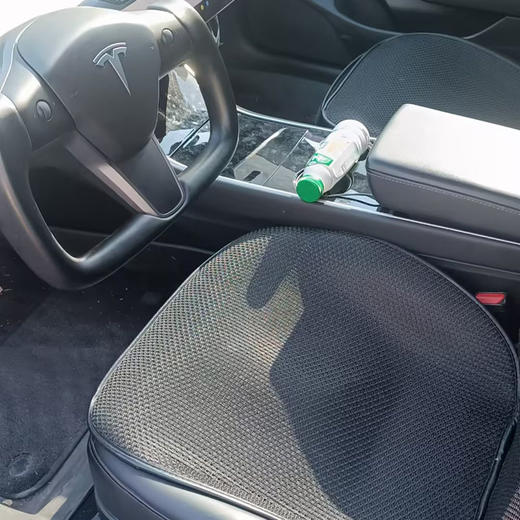 特斯拉 Model 3 标准续航后驱升级版【长租-北京】 商品图5