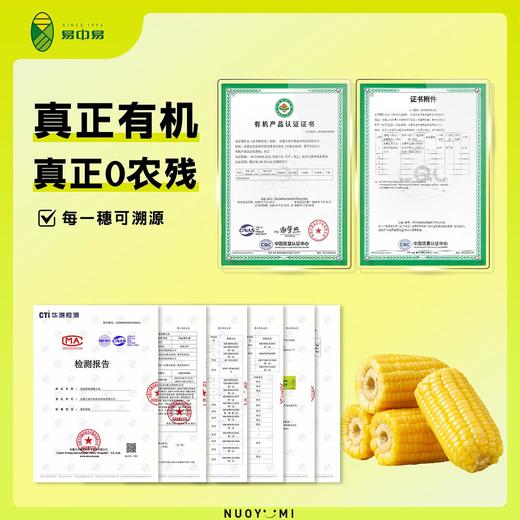 中段10段 -黄金8cm有机黄糯玉米段   A-3689 （有效期至26年7-10） 商品图3