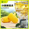 中段10段 -黄金8cm有机黄糯玉米段   A-3689 （有效期至26年7-10） 商品缩略图2