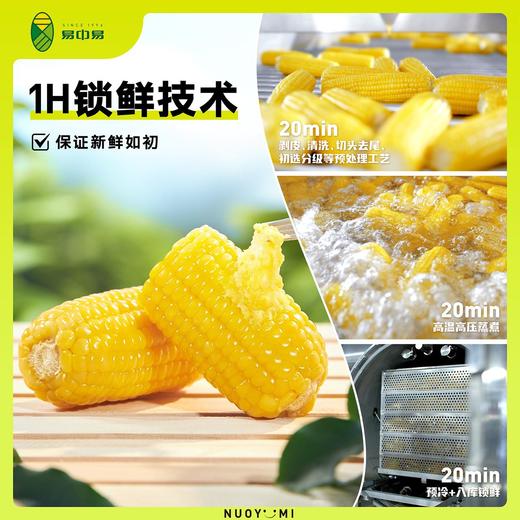 中段10段 -黄金8cm有机黄糯玉米段   A-3689 （有效期至26年7-10） 商品图2