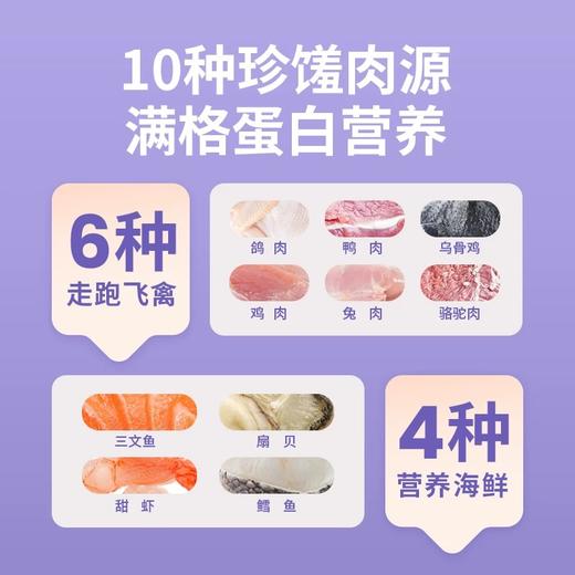 布兰德 白金系列全价鲜煮猫条 商品图1