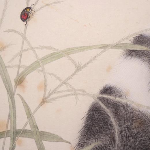 罗玉鑫国画33x33CM《六合之二·戊卯（狗）》一1平尺手绘纸本工笔国画作品[原作编号GH0390] 商品图5